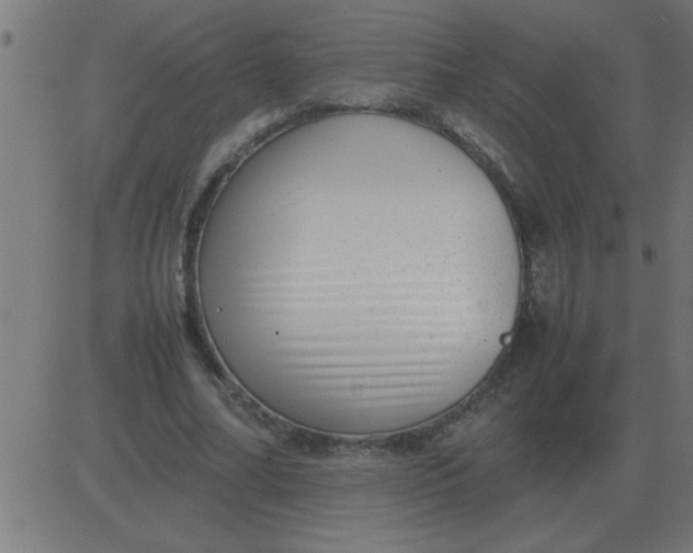 X0000081350682200702020115