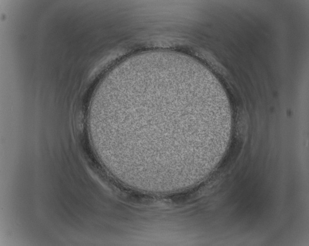 X0000081350683200702020115