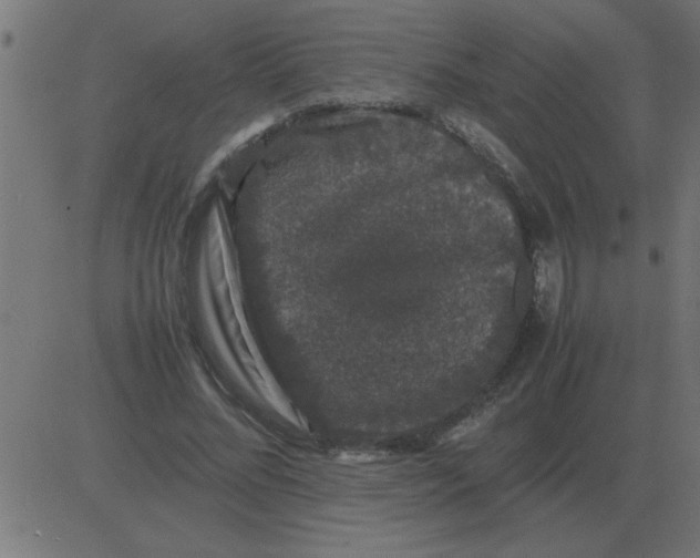 X0000081350684200702020115