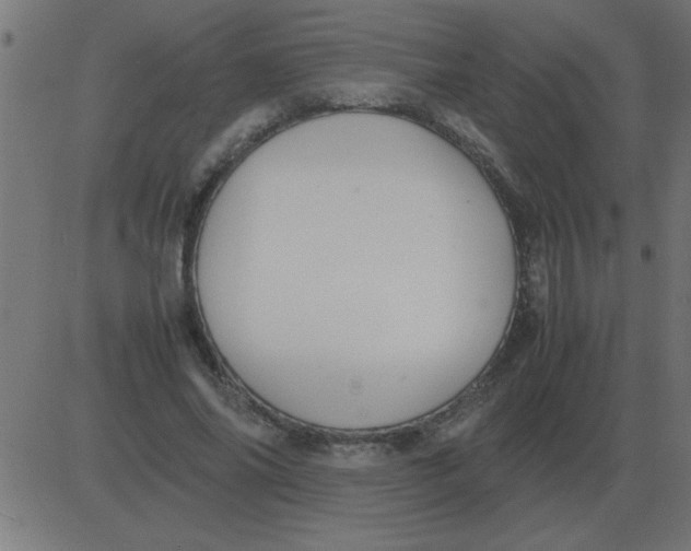 X0000081350686200702020115