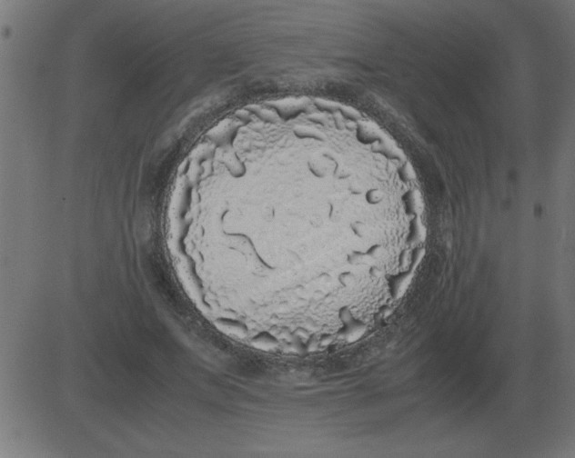 X0000081350687200702020115