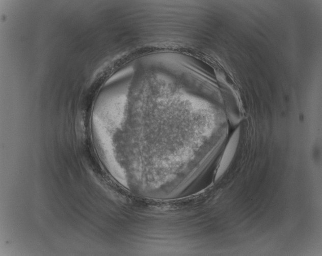 X0000081350688200702020115