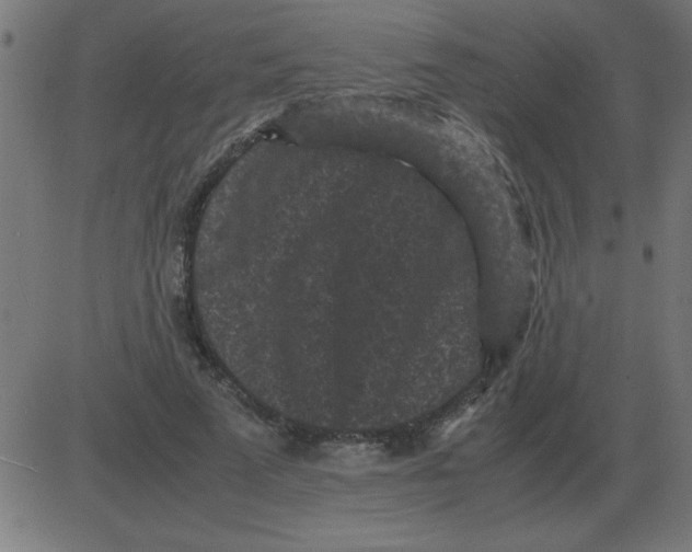 X0000081350689200702020115