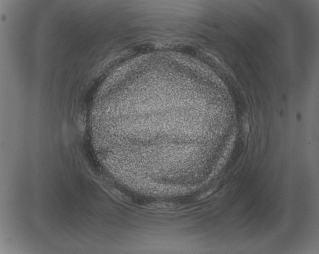 X0000081350691200702020115