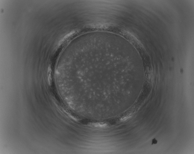 X0000081350692200702020115