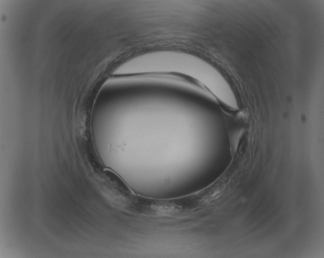 X0000081350693200702020115