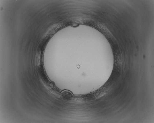 X0000081350694200702020115