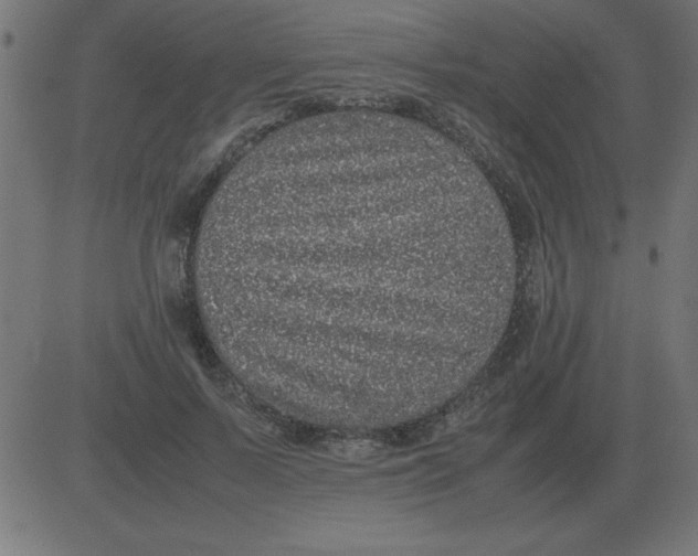 X0000081350695200702020115