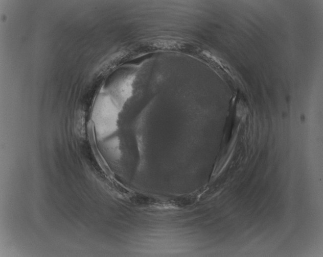 X0000081350696200702020115