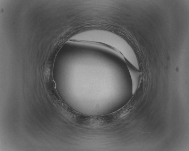 X0000081350697200702020115