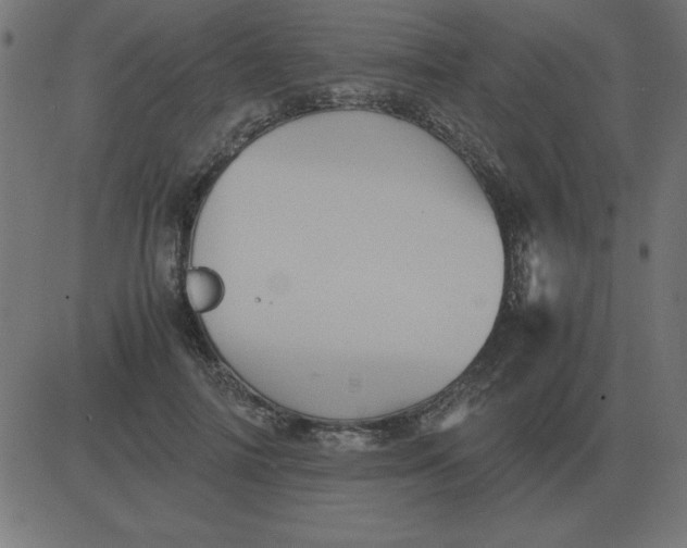 X0000081350698200702020115