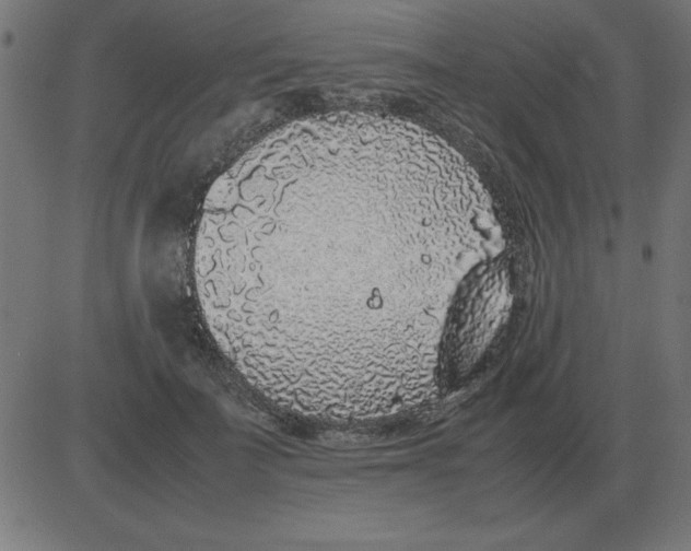 X0000081350699200702020115