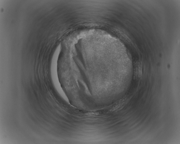 X0000081350700200702020115