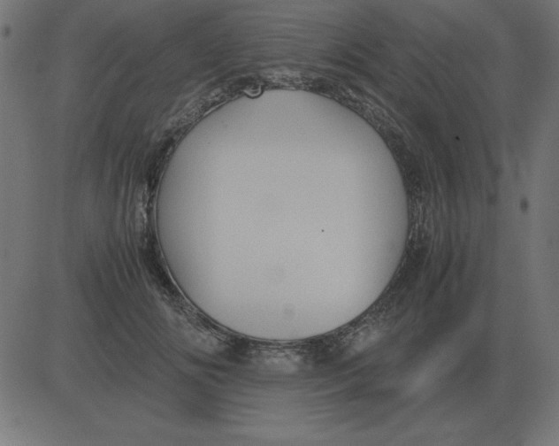 X0000081350702200702020115