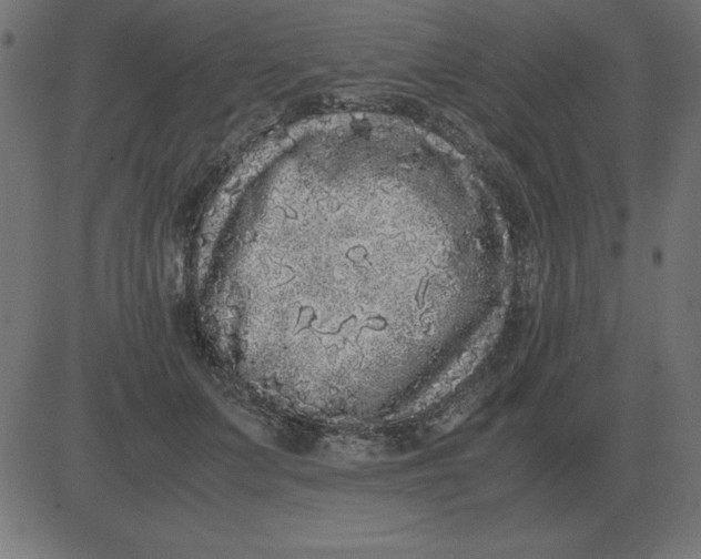 X0000081350703200702020115