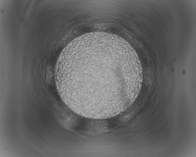 X0000081350707200702020115