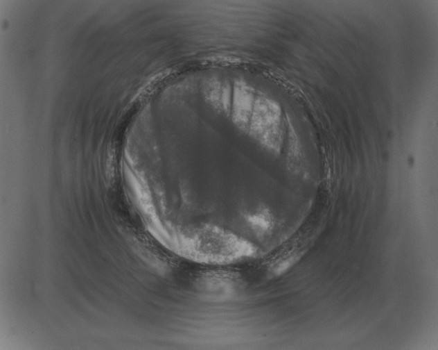 X0000081350708200702020114