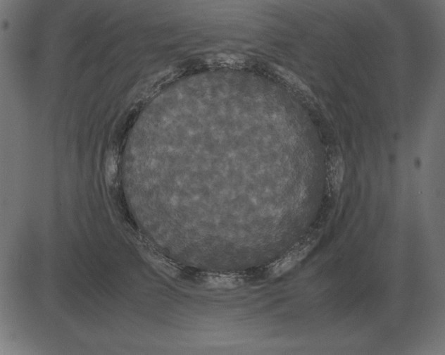 X0000081350709200702020114