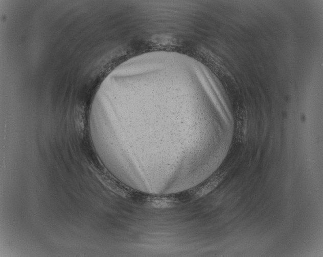 X0000081350710200702020114