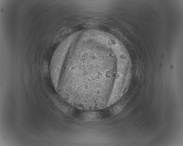 X0000081350711200702020114