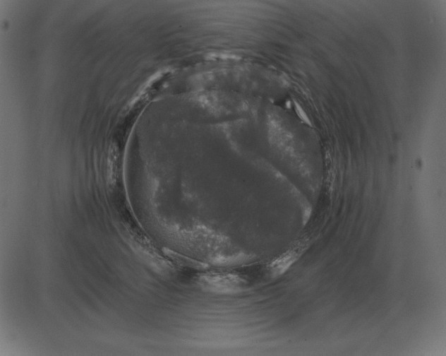 X0000081350712200702020114