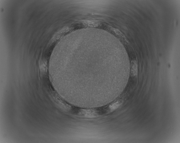 X0000081350713200702020114