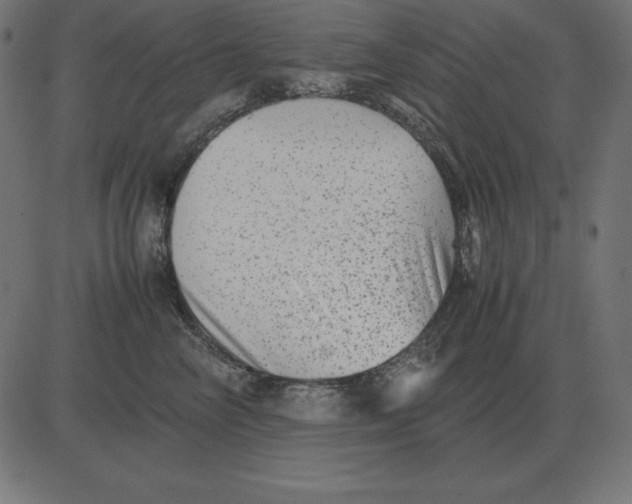 X0000081350714200702020114