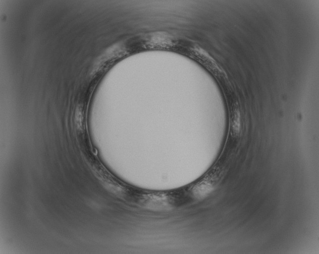 X0000081350715200702020114