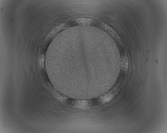 X0000081350717200702020114