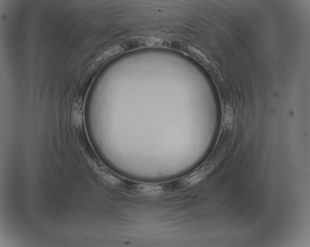 X0000081350719200702020114