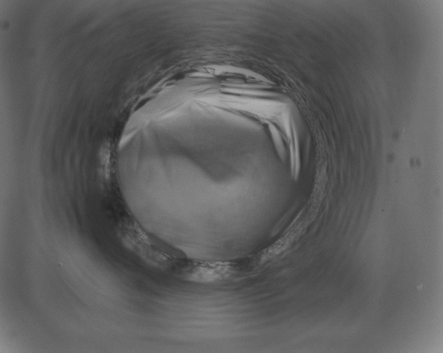 X0000081350720200702020114