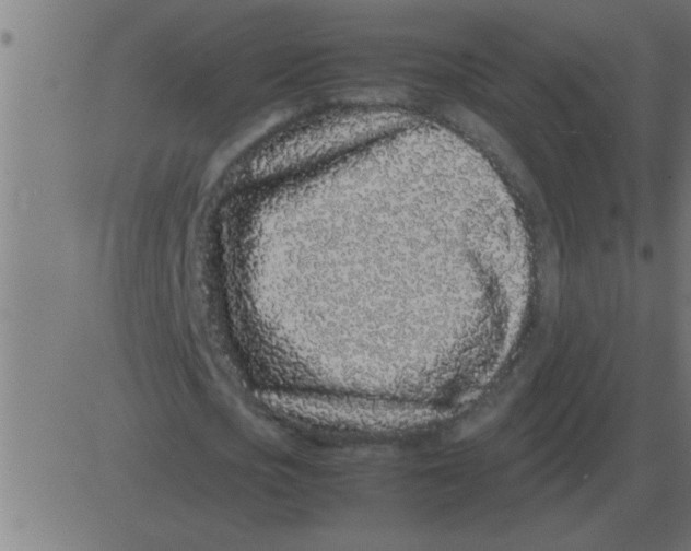 X0000081350721200702020114