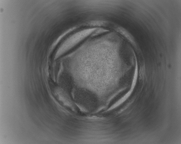 X0000081350722200702020114