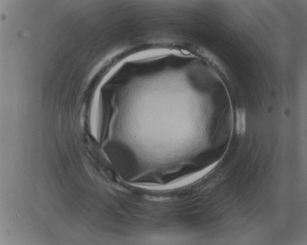 X0000081350723200702020114