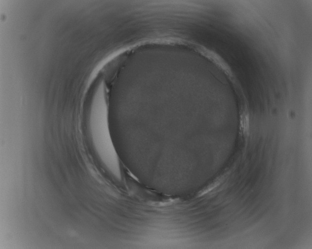 X0000081350724200702020114