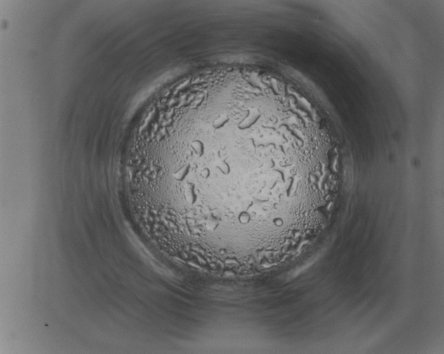 X0000081350725200702020114