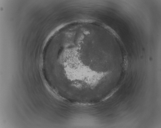 X0000081350726200702020114