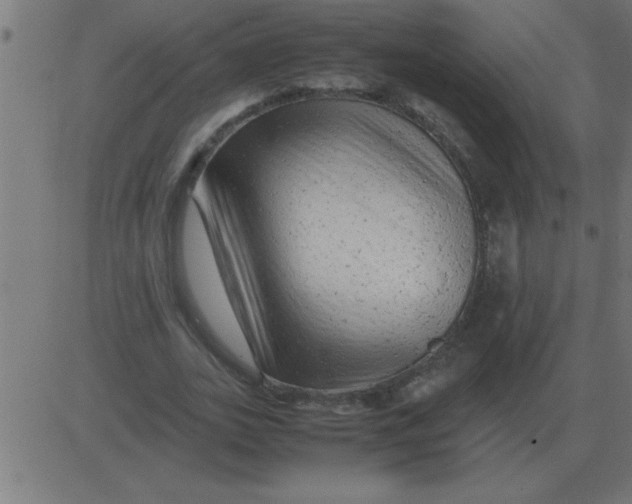 X0000081350727200702020114