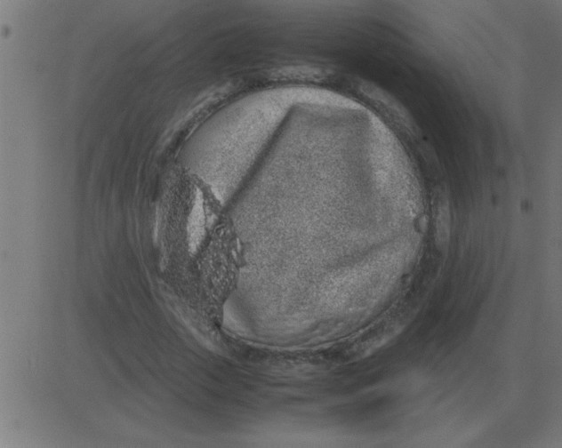 X0000081350729200702020114