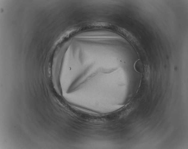 X0000081350731200702020114