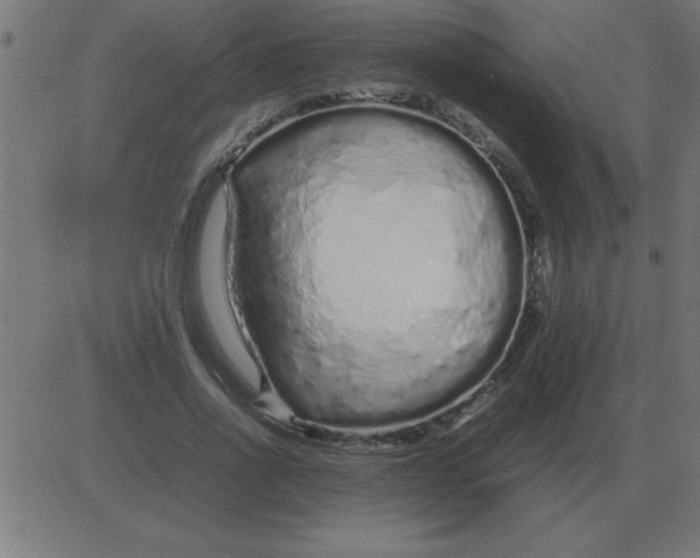 X0000081350734200702020114