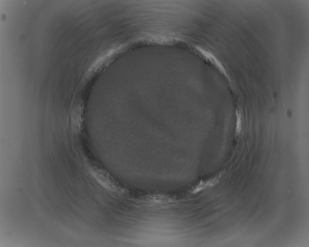 X0000081350736200702020114