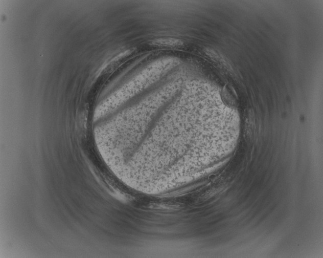 X0000081350739200702020114