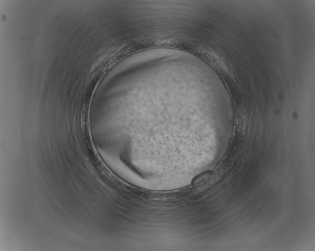 X0000081350740200702020114