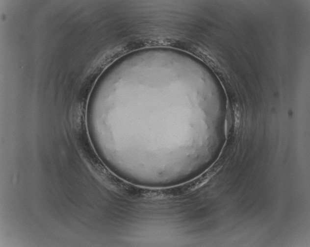 X0000081350742200702020114