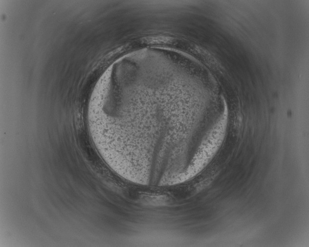 X0000081350743200702020114