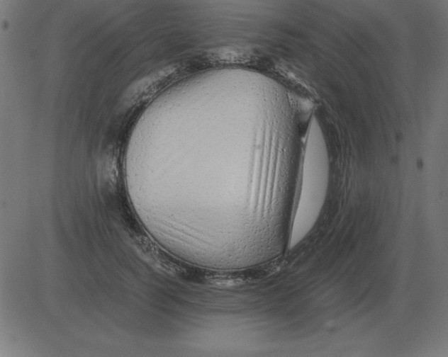 X0000081350746200702020114