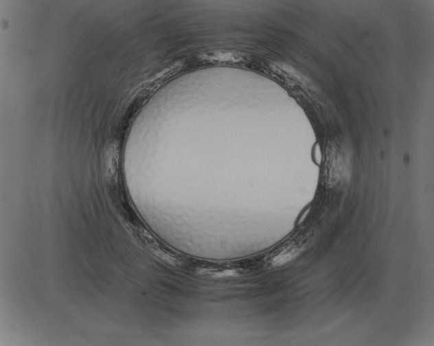 X0000081350747200702020114