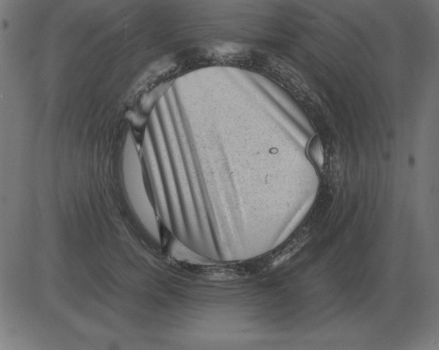 X0000081350750200702020114