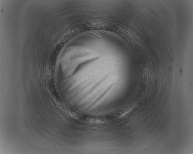 X0000081350751200702020114